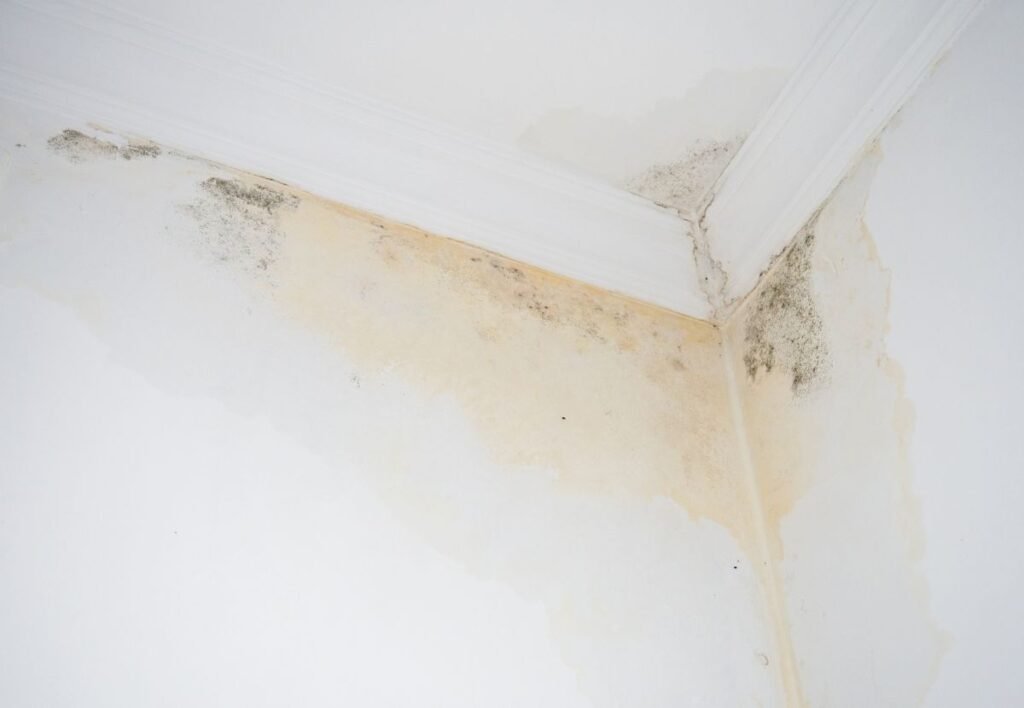 how to check for roof leaks