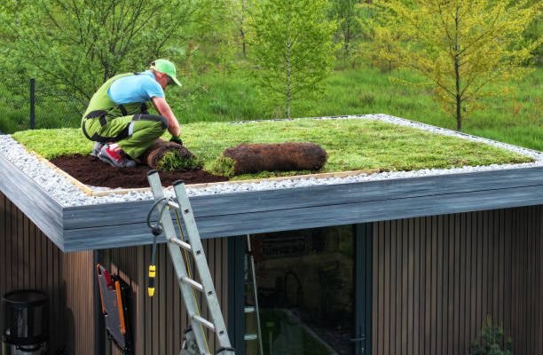 green roof